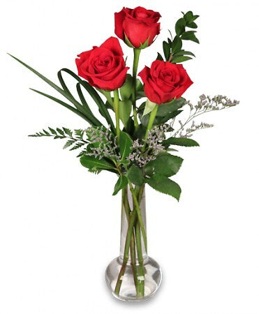 3 Red Roses Vased